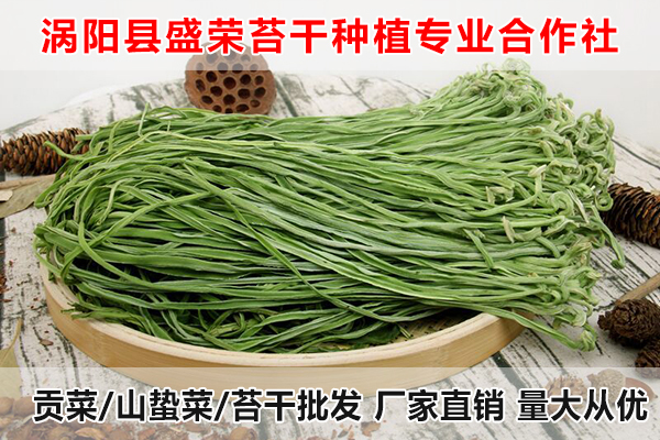 莱芜哪里有供应贡菜厂家电话