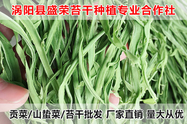 合肥哪里有供应大量贡菜厂家