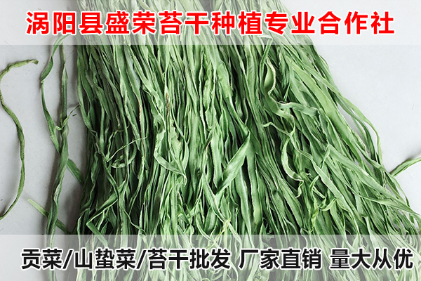 合肥哪里有供应大量贡菜厂家