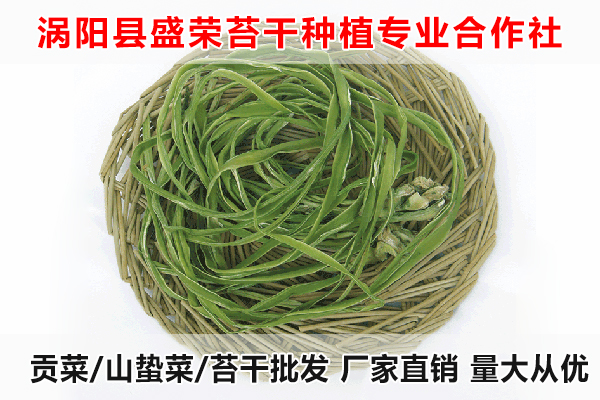 青海哪里有贡菜出售厂家电话