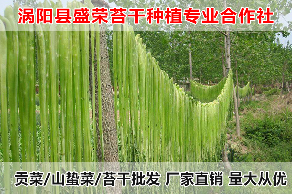 莱芜哪里有供应贡菜厂家电话