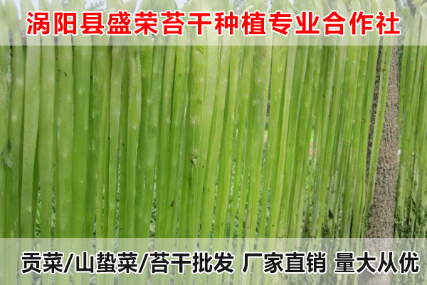 四川哪里有出售贡菜厂家电话