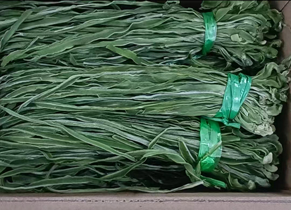 贡菜批发 贡菜批发
