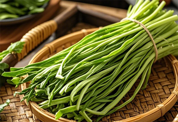贡菜 贡菜